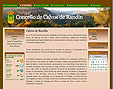 Conc. Calvos de Rand�n