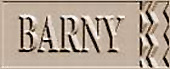 Barny alfombras orientales