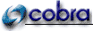 COBRA INSTALACIONES Y SERVICIOS