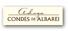 BODEGAS SALNESUR