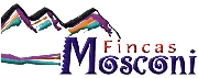 Fincas Mosconi
