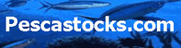 PESCASTOCKS.COM