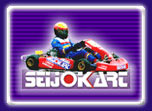 SEIJOKART