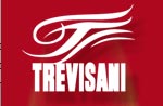TREVISANI CONGRESOS