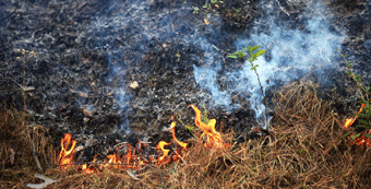 Foto del resto de noticias (incendio_pequeno.gif)