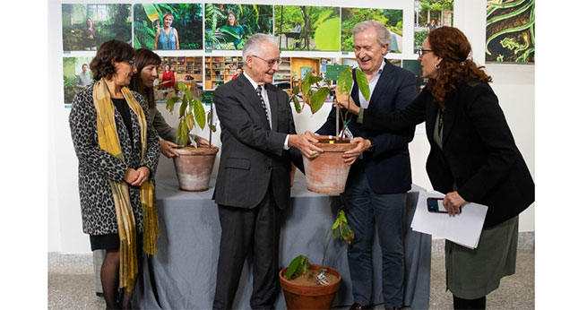 Ecuador dona al Real Jardn Botnico-CSIC la primera planta de cacao de la variedad nacional 'fino aroma'