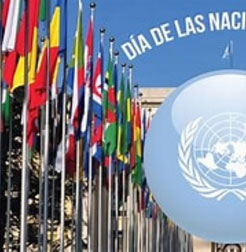 Paz y Cooperacin celebra una conferencia del VIII Foro de Naciones Unidas: 78 aniversario de su Fundacin