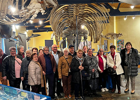 UNED Senior Coruña visita el Museo de Historia Natural de Ferrol
