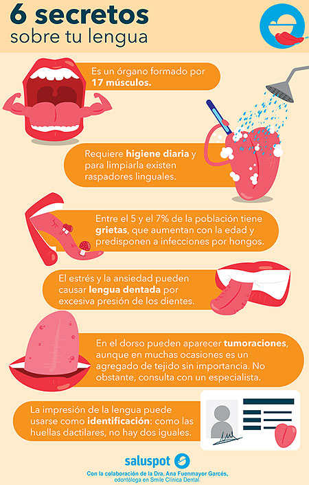 6 secretos sobre tu lengua