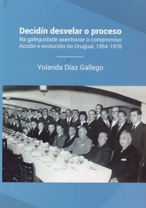 'Decidn desvelar o proceso', de Yolanda Daz Gallego