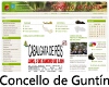 Concello de Guntn