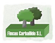 FINCAS CARBALLIDO