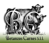 Betanzos Carnes