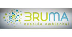 Bruma