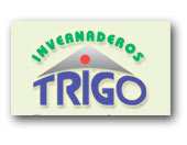 Invernaderos Trigo