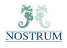 NOSTRUM