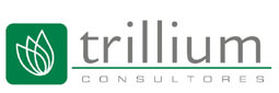 Trillium consultores