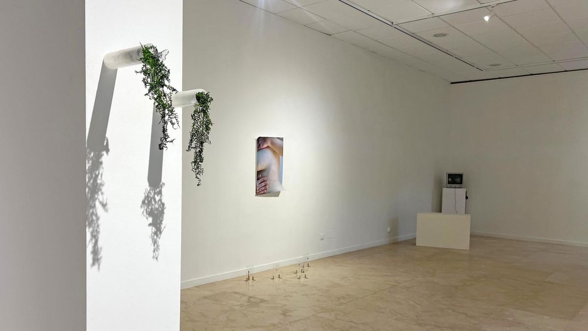 Foto de nota destacada (20260305-uvigo.jpg)