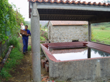 Nota