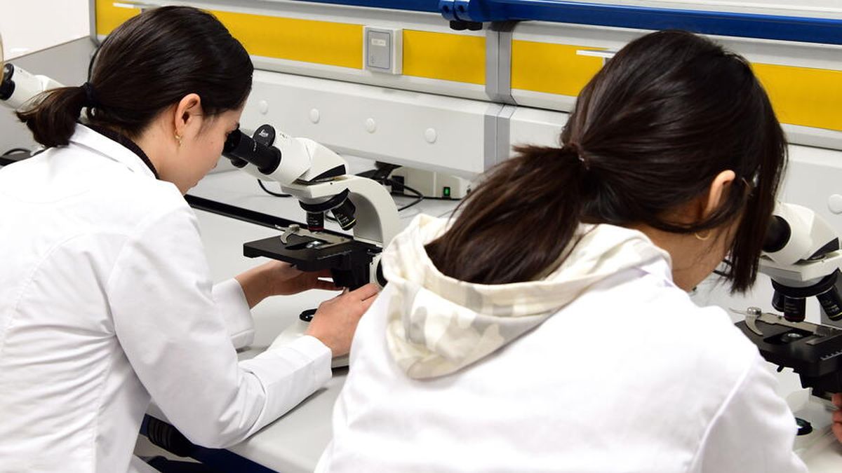 Foto de nota destacada (laboratorio-bioloxia-usc.jpg)