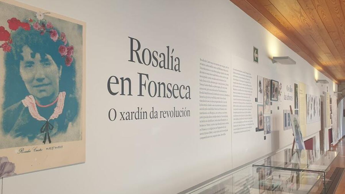 Foto de nota destacada (rosalia-fonseca-usc.jpg)