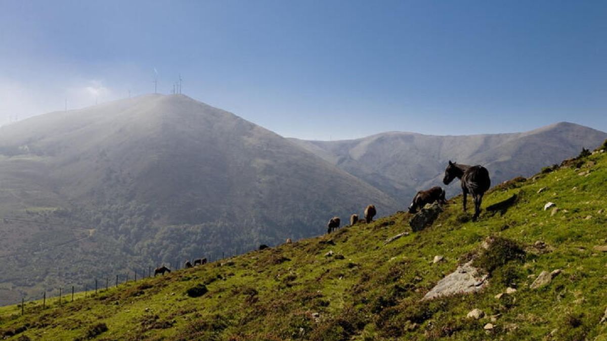 Foto de nota destacada (xistral-usc.jpg)