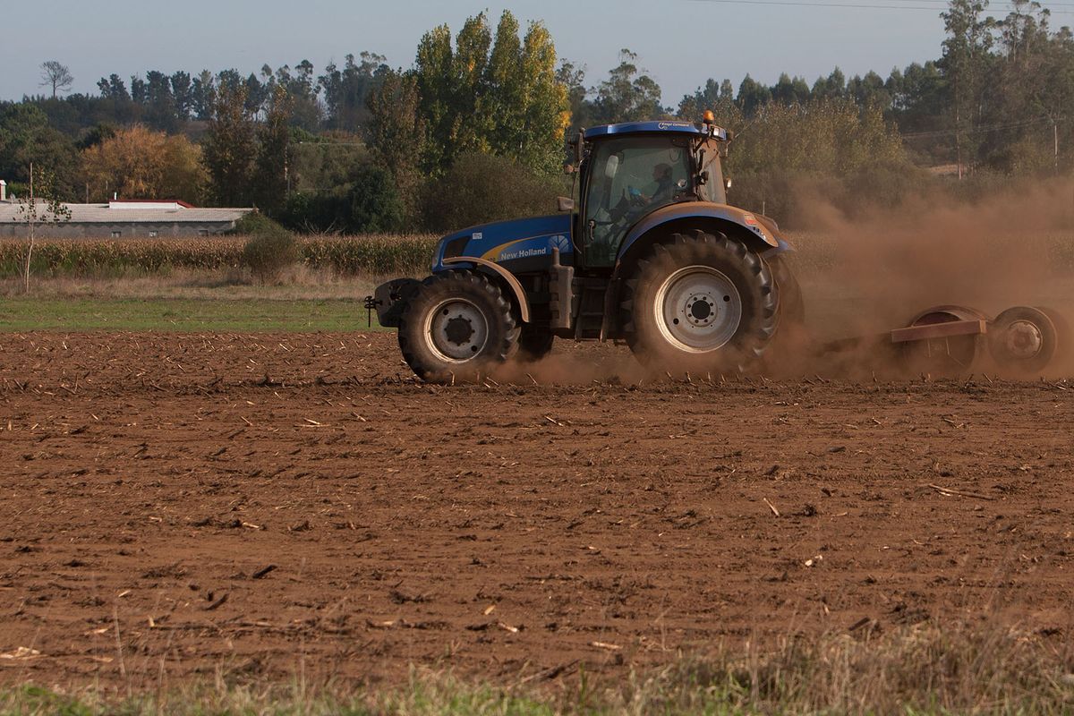 Foto del resto de noticias (agro-galego.jpg)