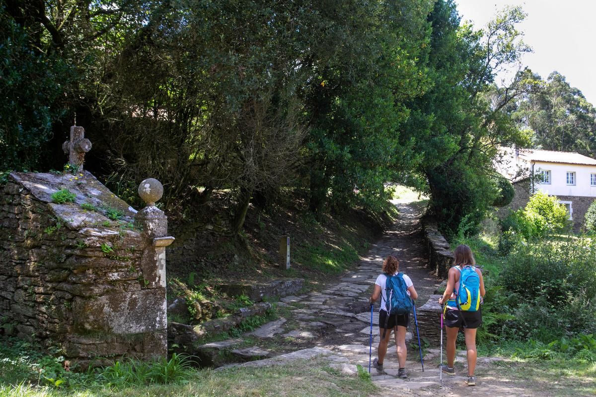 Foto de la tercera plana (camino-xacobeo.jpg)