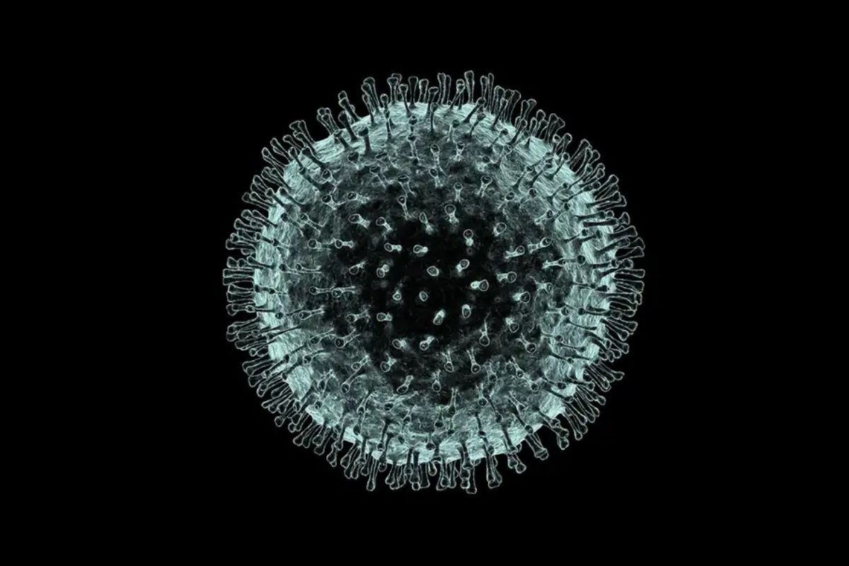 Foto de la tercera plana (coronavirus.jpg)