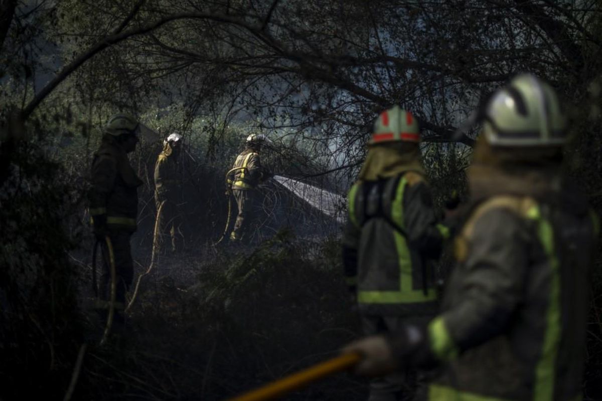 Foto de la tercera plana (incendios-2025.jpg)