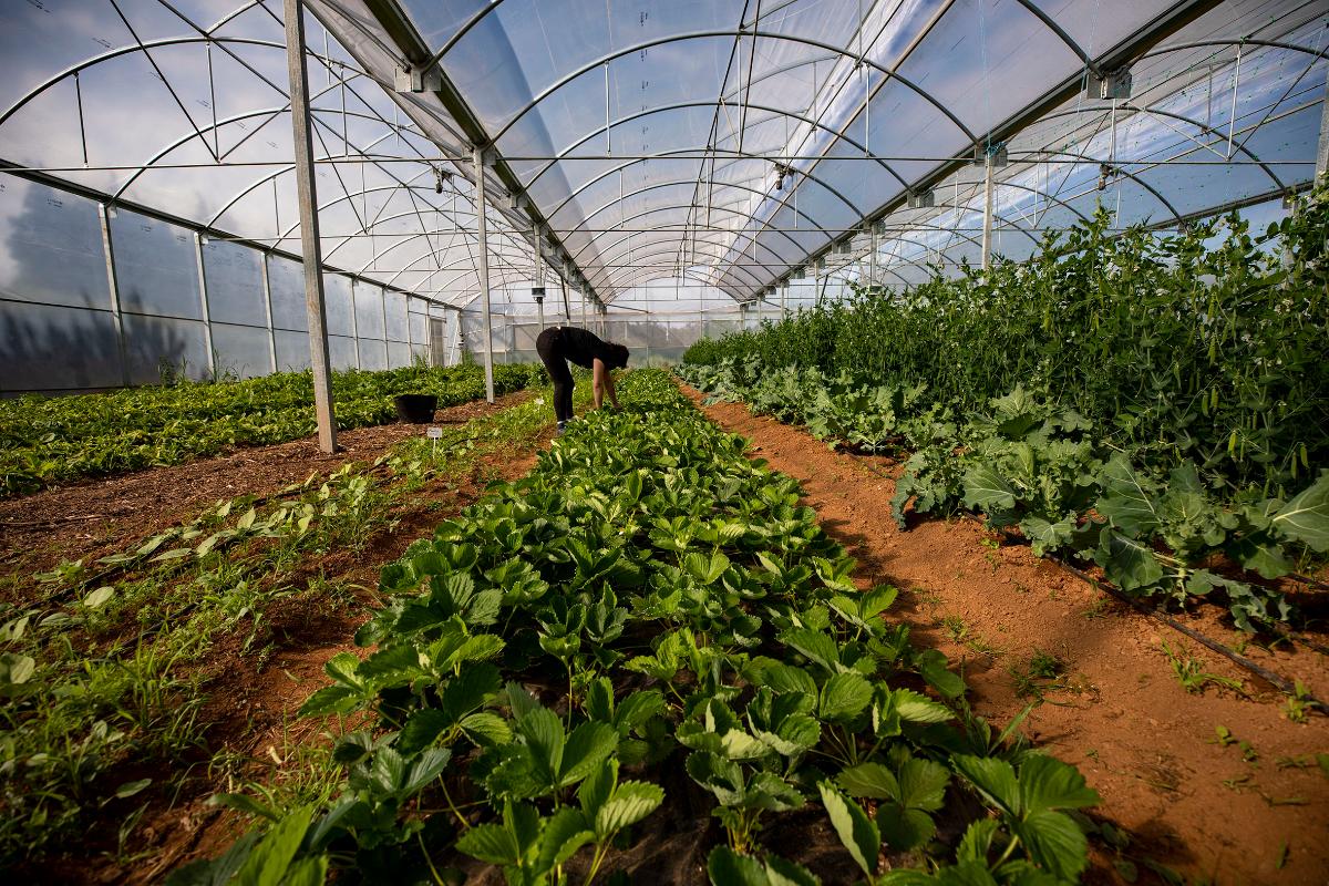 Foto del resto de noticias (produtos-galegos.jpg)