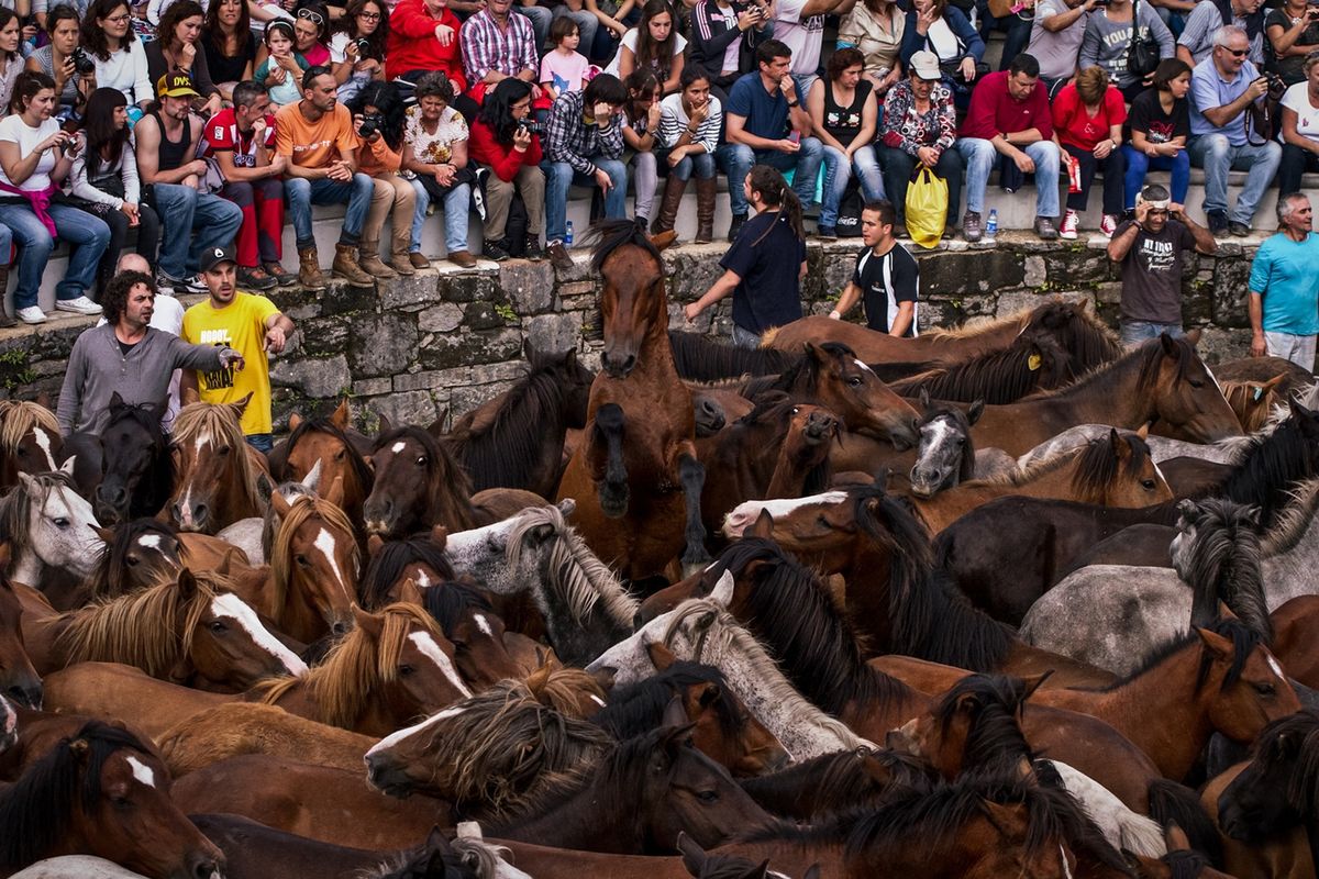 Foto de la tercera plana (rapa-bestas-sabucedo.jpg)