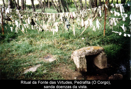 Ensalmos e rituais etnomédicos (V)