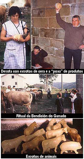 As promesas por animais nos Santuarios da Provincia de Lugo