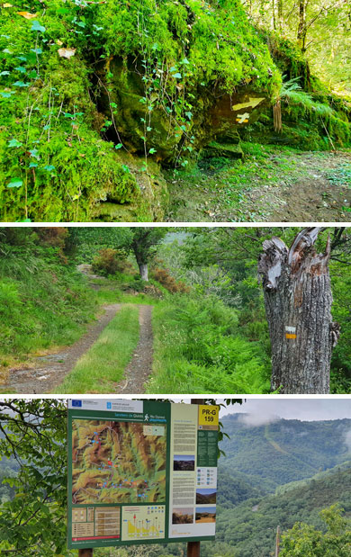 Olimpiada de Esculpido del paisaje, señalización y seguridad