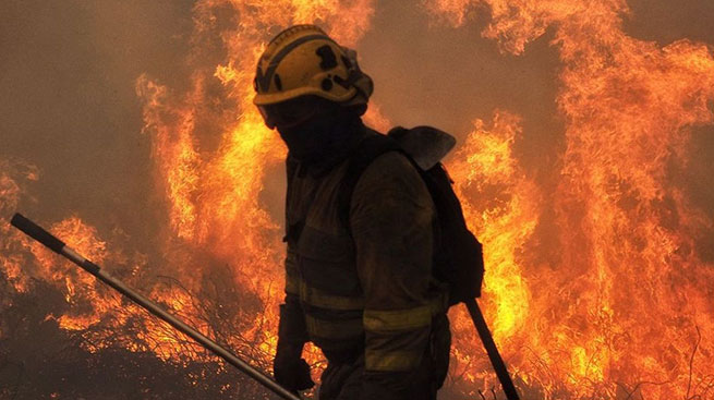 La 'informacin viciada' sobre causas y alcance de los incendios forestales