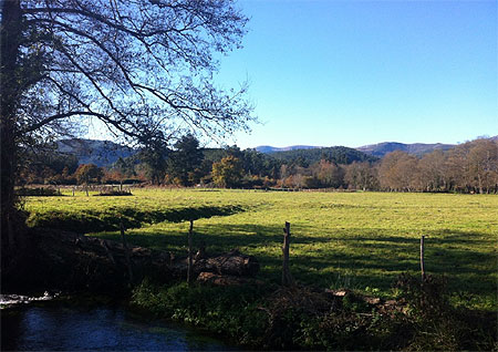 Otoño en el Valle de Oro