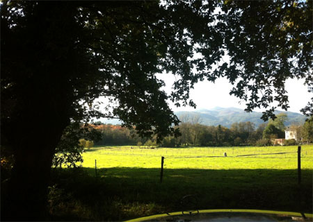 Otoño en el Valle de Oro