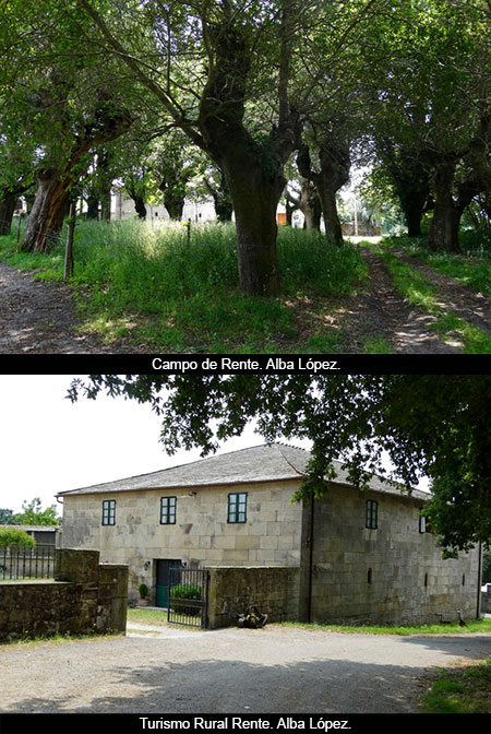 Cousas Xacobeas: O camiño en Barbadelo, Rente (X)