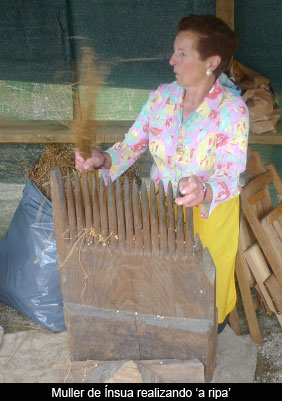 A cultura do liño no Concello de Vilalba, Lugo (2)