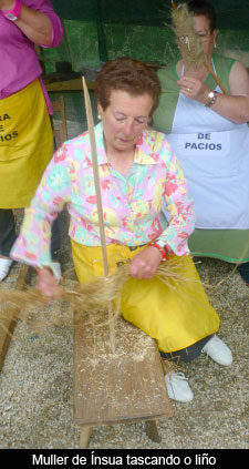 A cultura do liño no Concello de Vilalba, Lugo (4)