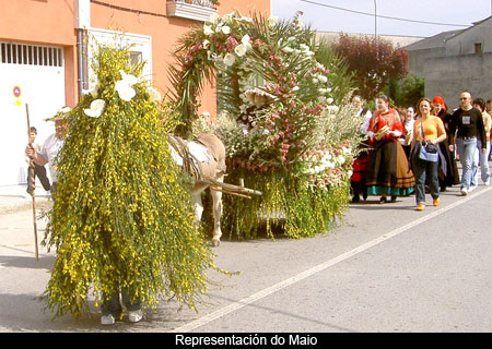 Festividades relixiosas e profanas no Val de Lourenzá (9)