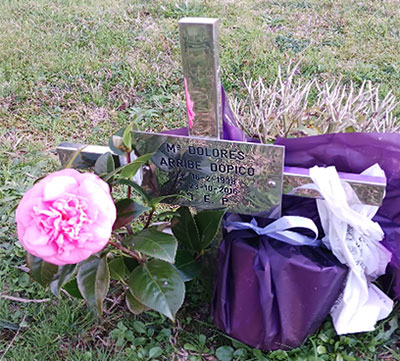 Una camelia para Lola Arribe