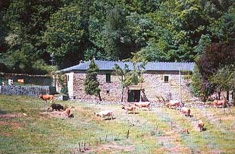 Casa Seorial de Pacios de Vilavella. Triacastela (Lugo)