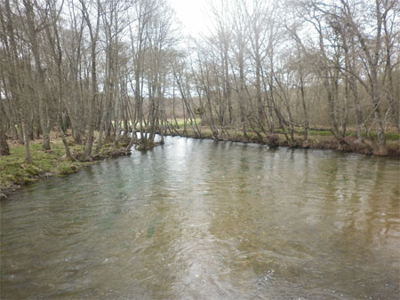 Pingas de Orballo: Capar o río