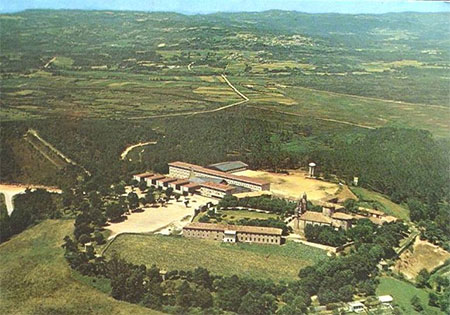 Pingas de Orballo