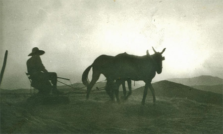 Paisaje para despus de una guerra. El SUT en Paradaseca