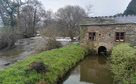 Namorada de ti, verde compañeira