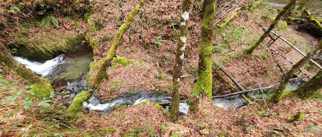 Entornos y paisajes naturales -con historia- para un recorrido de oxigenación, por la Ruta Quintá-Río Donsal