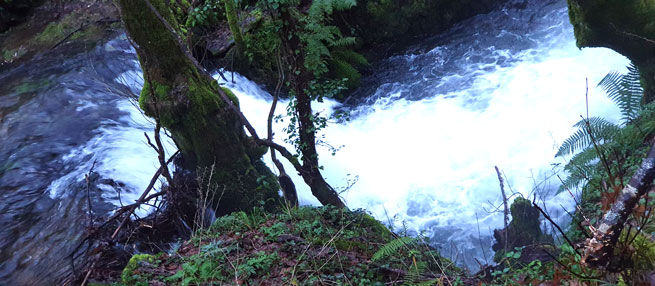 Entornos y paisajes naturales -con historia- para un recorrido de oxigenación, por la Ruta Quintá-Río Donsal